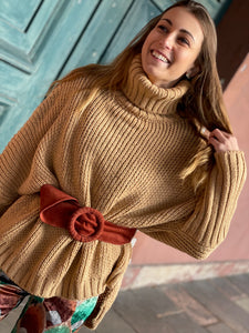 Pull col roulé marron AYA